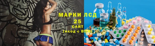 шишки Горнозаводск