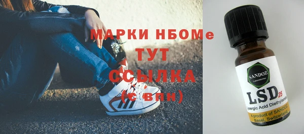 шишки Горнозаводск