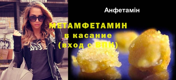 шишки Горнозаводск