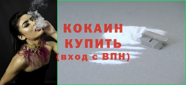 шишки Горнозаводск