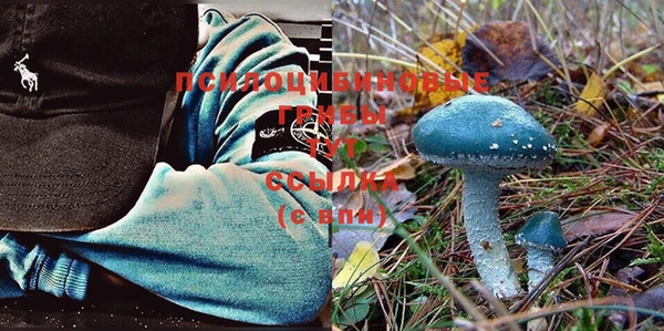 шишки Горнозаводск