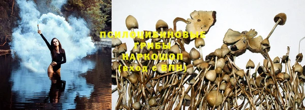 хмурый Бутурлиновка