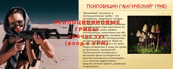 бошки Горняк