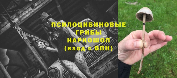 дживик Гусь-Хрустальный
