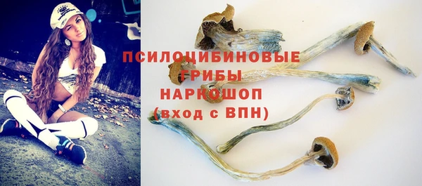 ПСИЛОЦИБИНОВЫЕ ГРИБЫ Валуйки