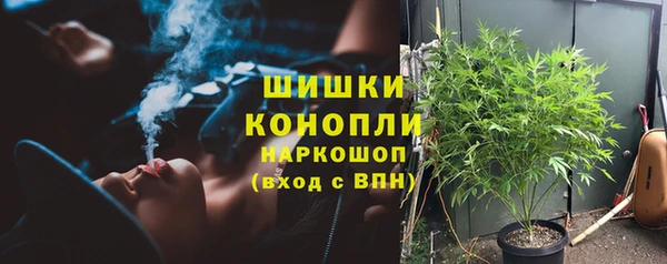 соль ск Гусев