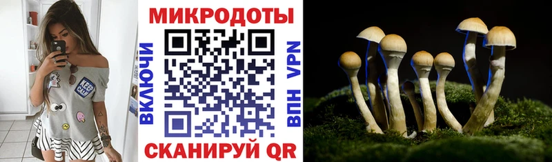 гидра tor  Дрезна  Галлюциногенные грибы мицелий  даркнет сайт 